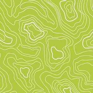 Линолеум FORBO Sarlon Graphic 15dB 928T4315 lime topography фото ##numphoto## | FLOORDEALER